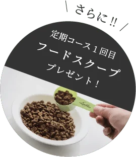 カナガンキャットフード チキンの定期コース特典を示す公式画像