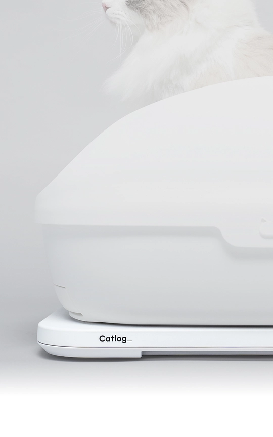 Catlog Board 2を猫用トイレの下に設置した公式提供画像