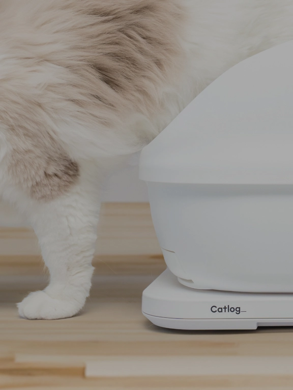 猫用トイレの下にCatlog Board 2を設置した公式提供画像