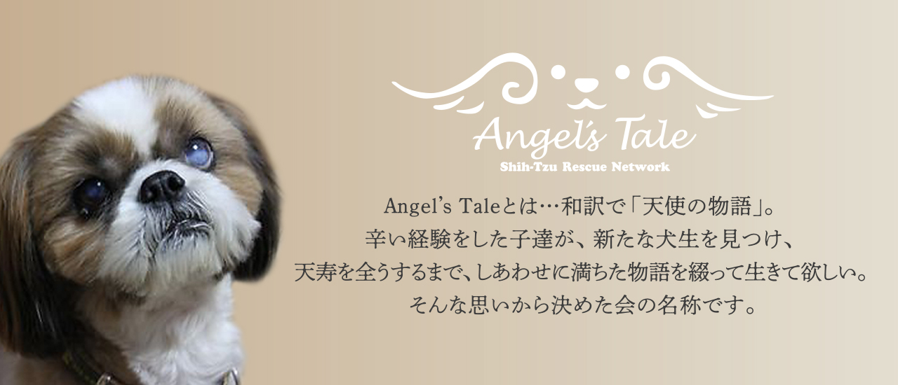 Angel’s Tale公式サイトのトップページ