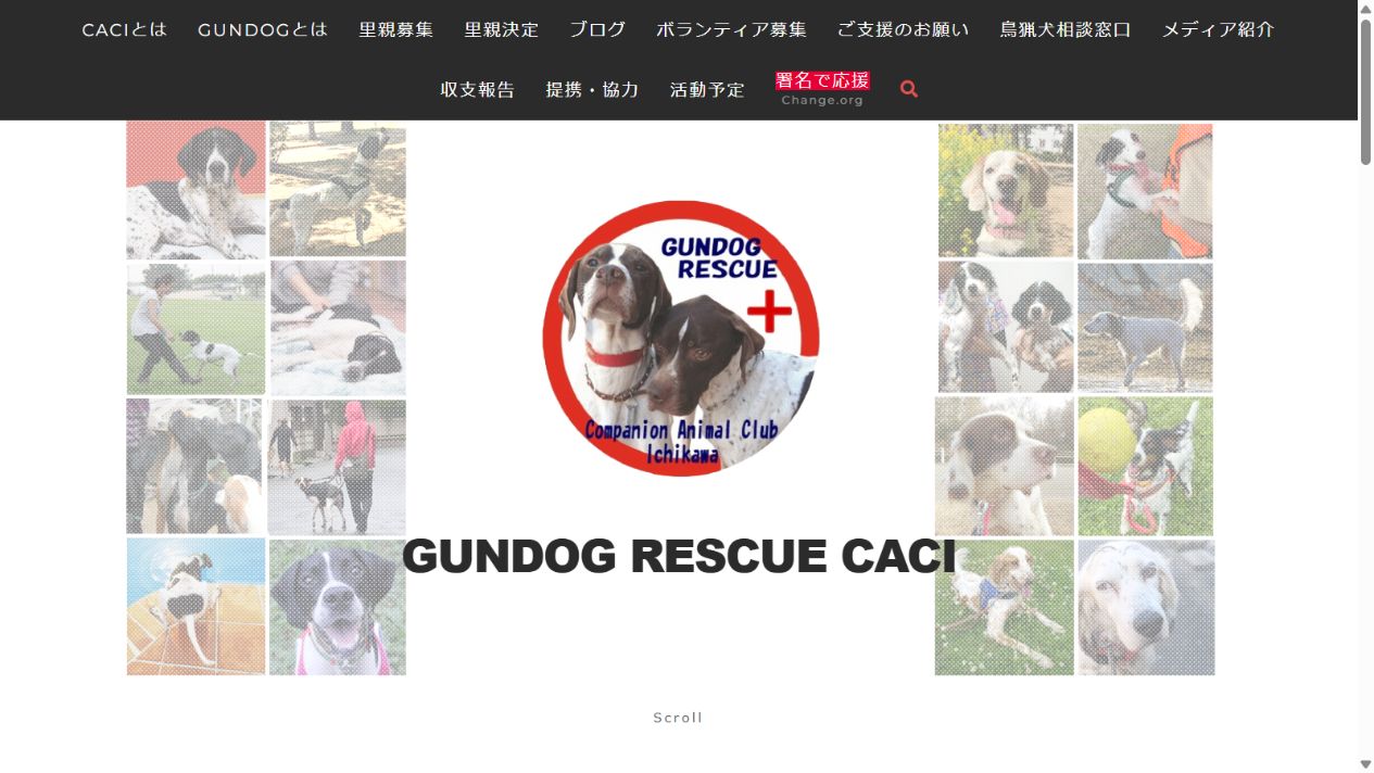 GUNDOG RESCUE CACI公式サイトのトップページ