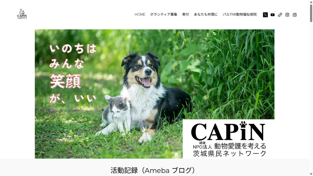認定NPO法人CAPIN公式サイトのトップページ