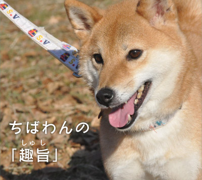 ちばわん公式サイト提供画像「ちばわんの趣旨」