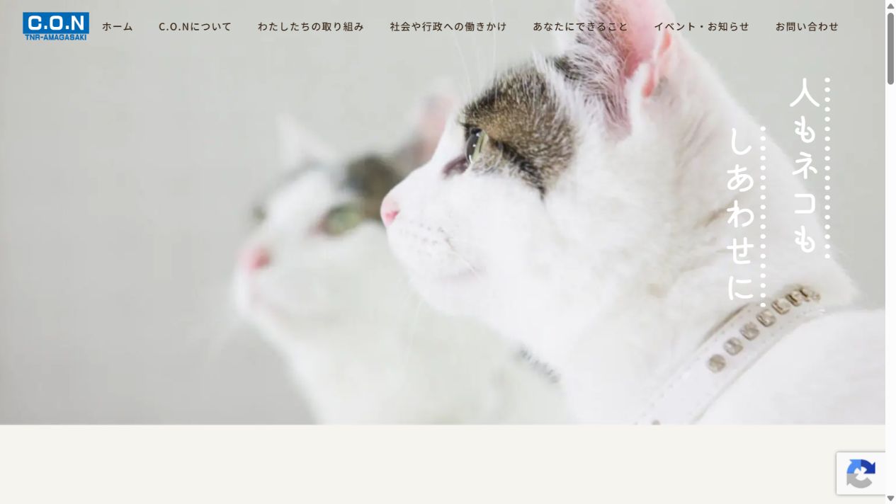 特定非営利活動法人C.O.N公式サイトのトップページ