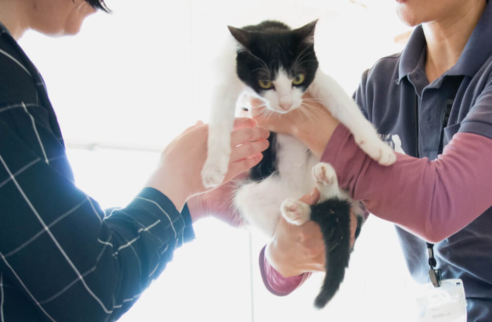 神奈川県動物愛護センター公式サイトのトップページ