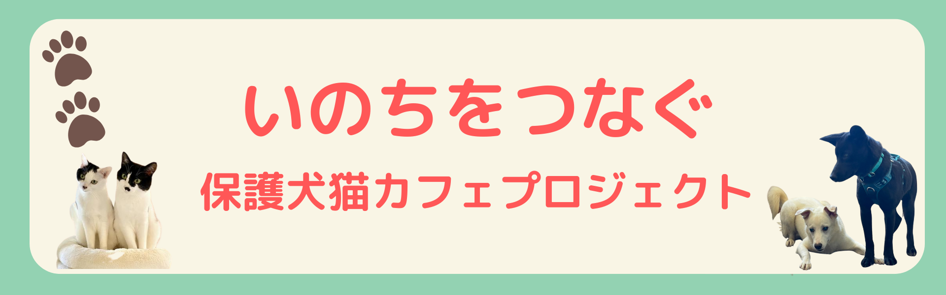 NPO法人Link to公式サイトの保護犬猫カフェプロジェクト画像