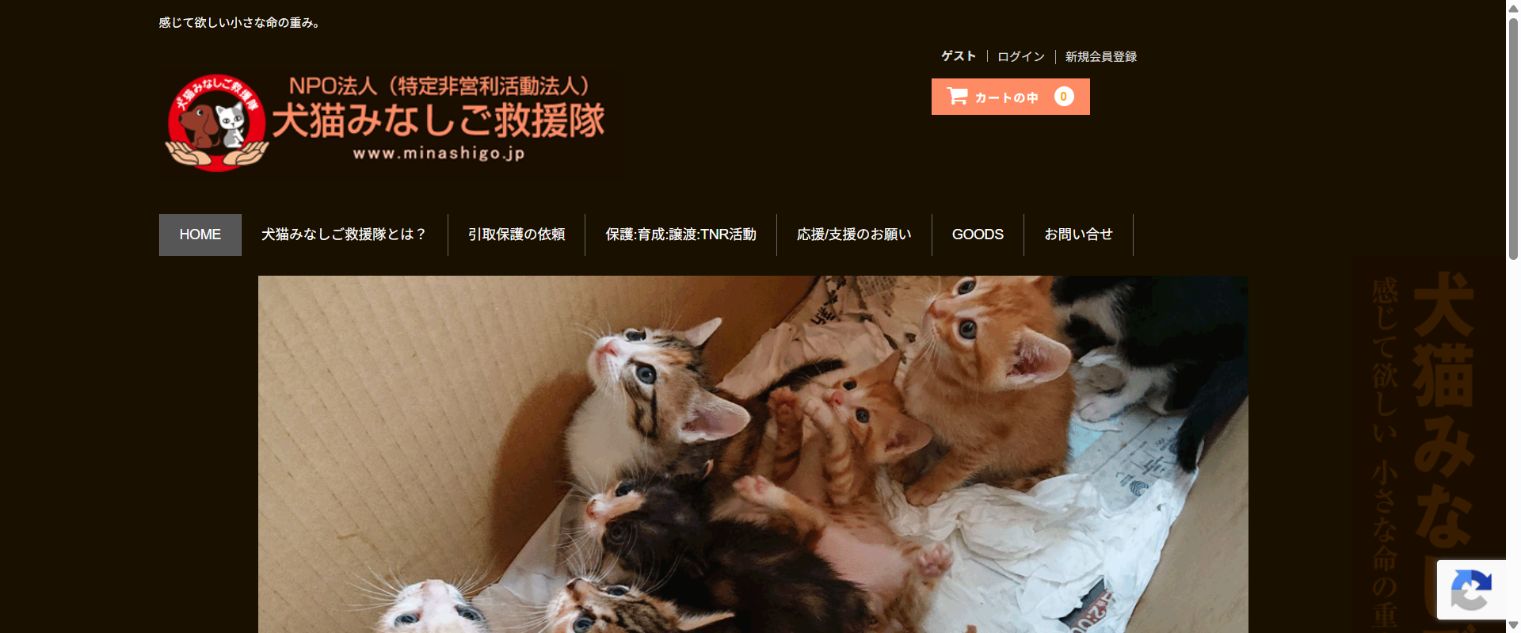 NPO法人犬猫みなしご救援隊公式サイトのトップページ