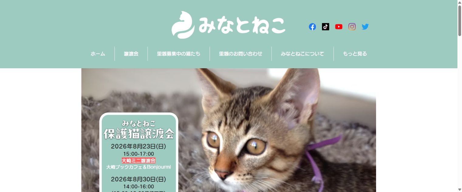 みなとねこ公式サイトのトップページ
