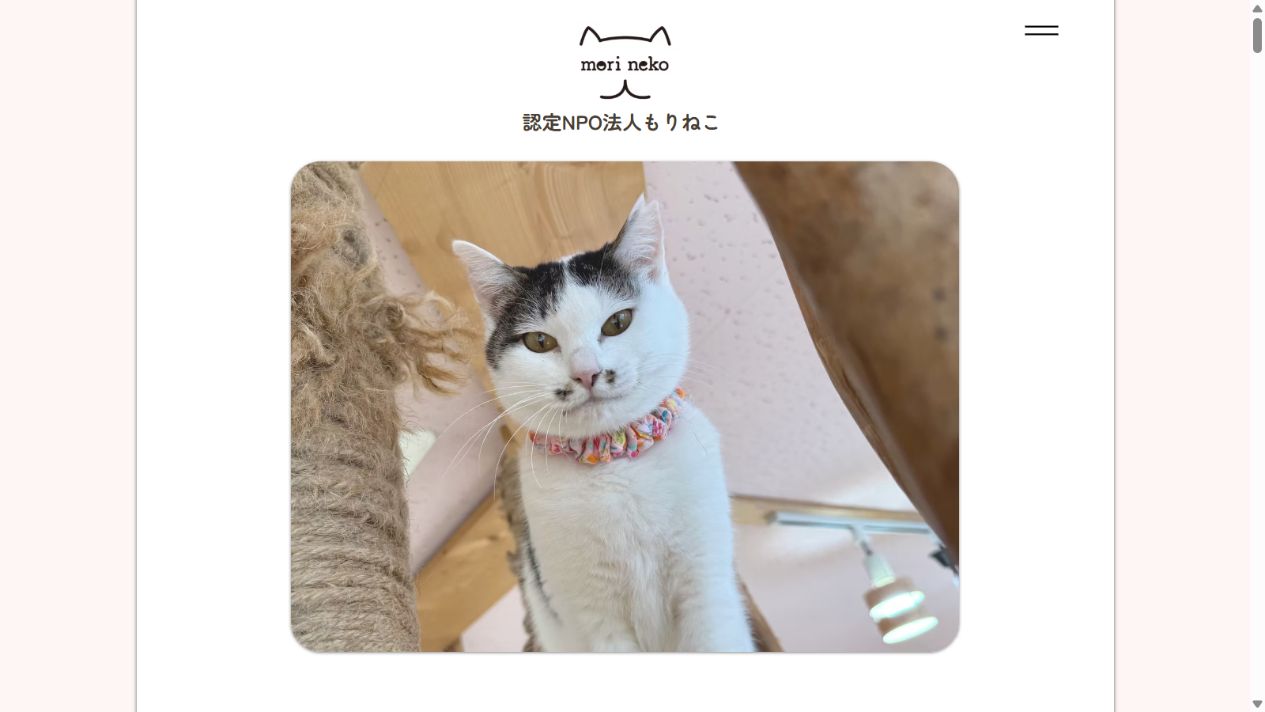 認定NPO法人もりねこ公式サイトのトップページ