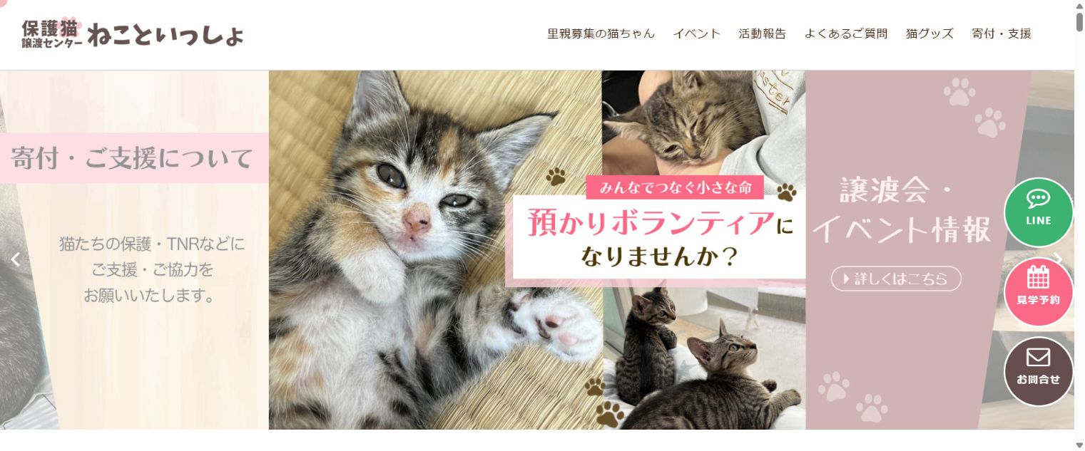 ねこといっしょ(一般社団法人necoto)公式サイトのトップページ
