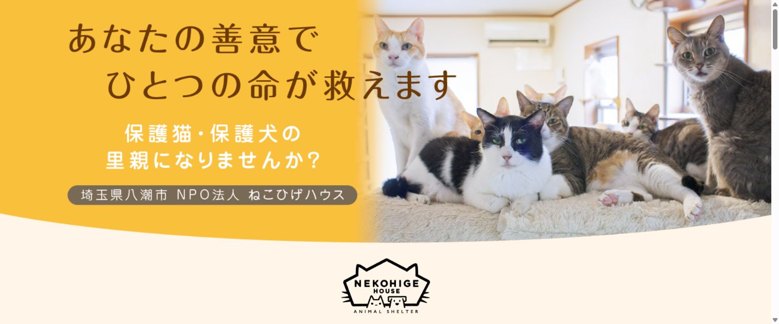 NPO法人ねこひげハウス公式サイトのトップページ