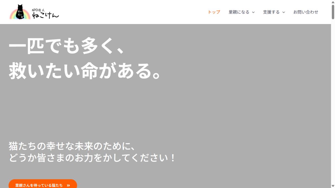 NPO法人ねこけん公式サイトのトップページ
