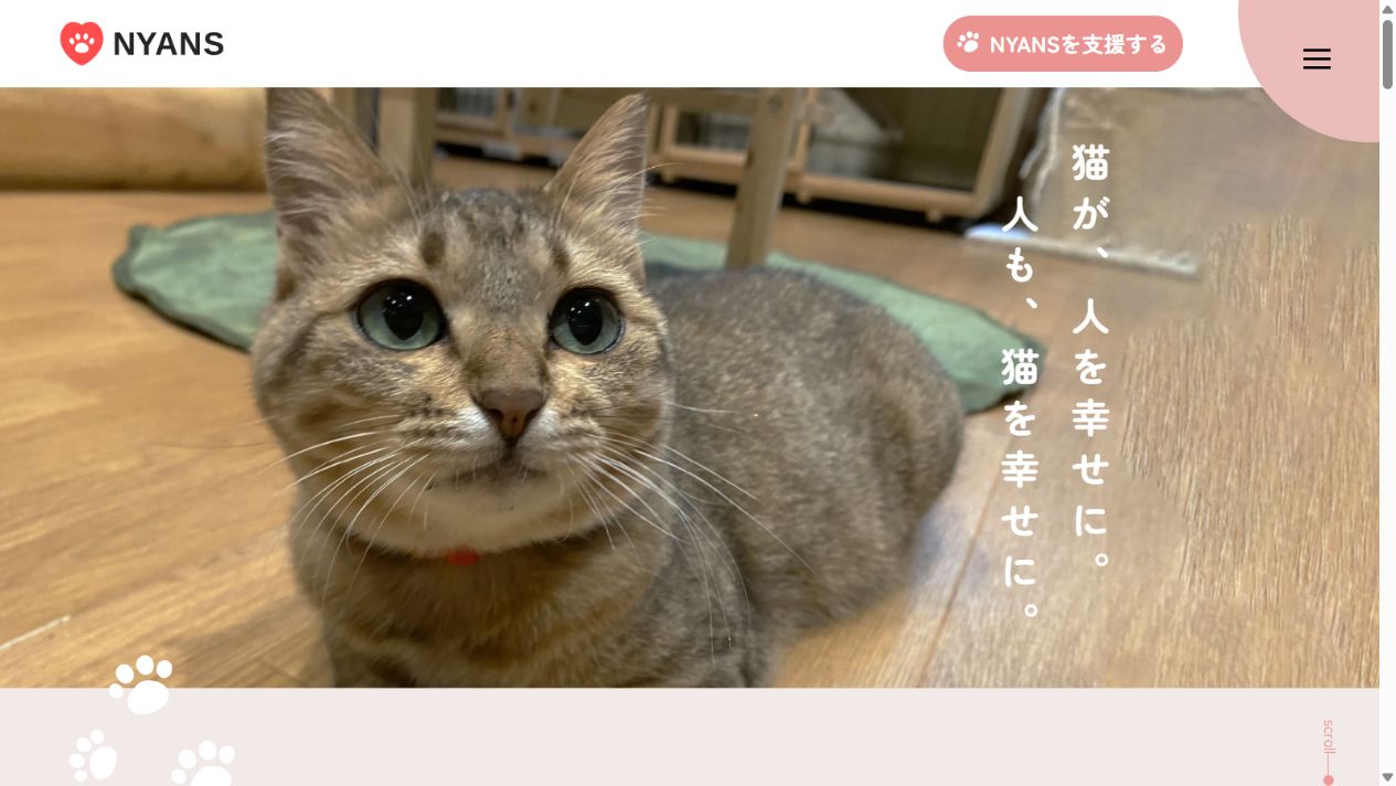 NPO法人動物愛護団体NYANS公式サイトのトップページ
