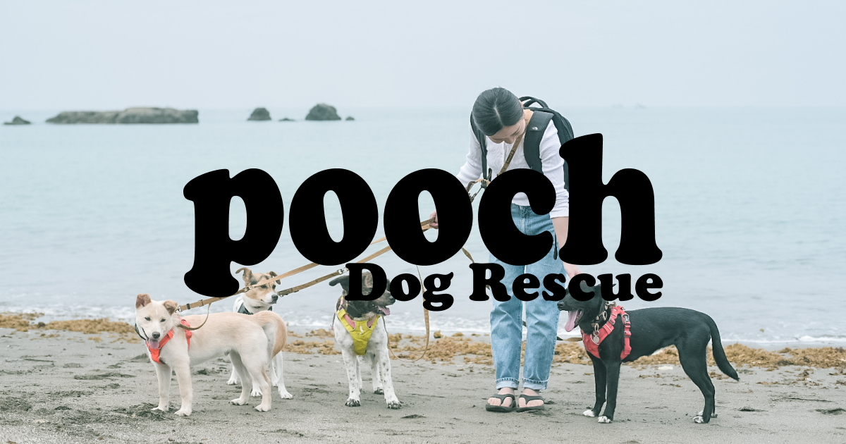 pooch Dog Rescue公式サイトのトップページ