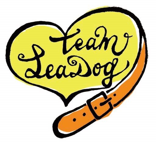 Team LeaDog公式サイトのトップページ