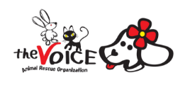 the VOICE公式サイトのトップページ